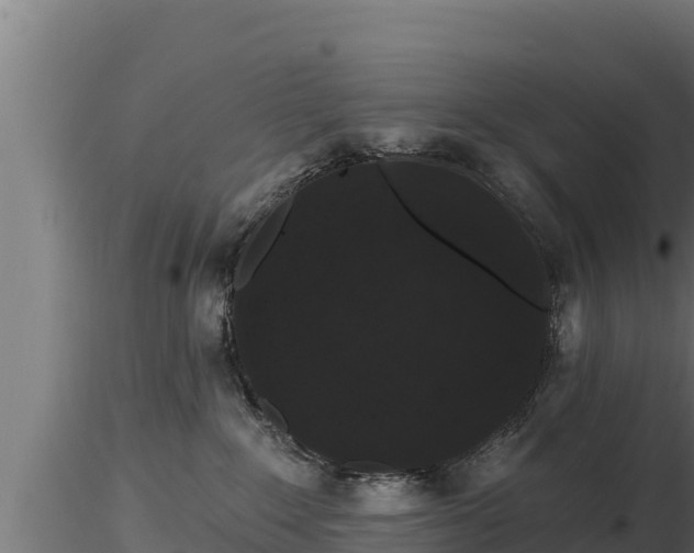 X0000116770235200912241210