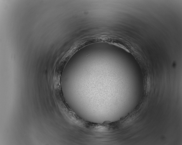 X0000116770236200912241210