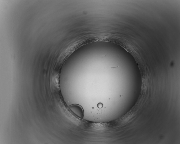 X0000116770238200912241210