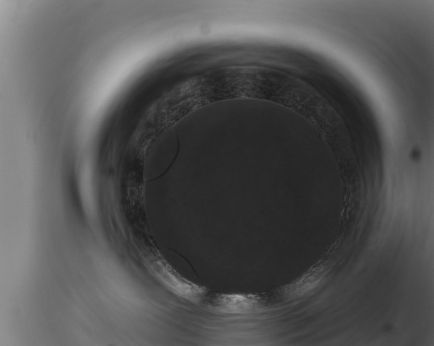 X0000116770239200912241210