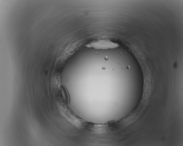 X0000116770240200912241210