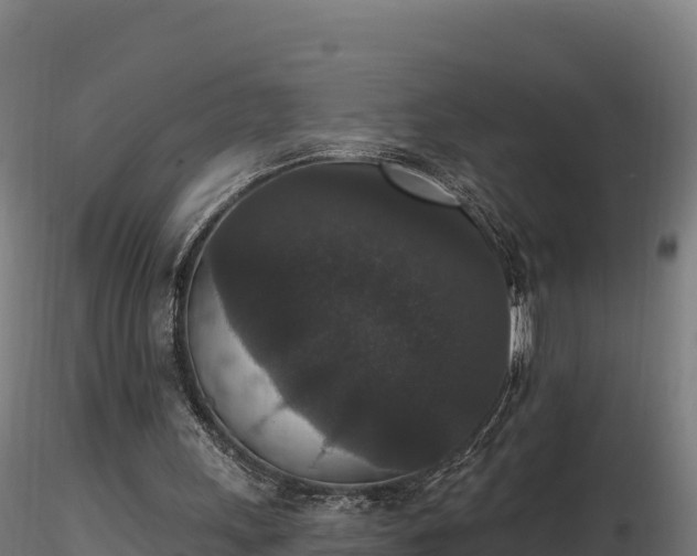 X0000116770243200912241209