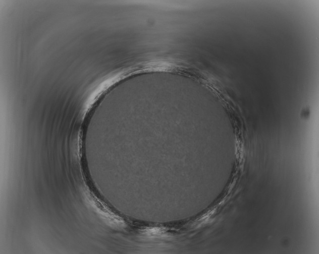 X0000116770244200912241209