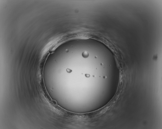 X0000116770245200912241209