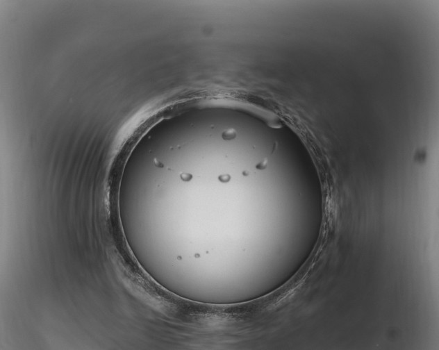 X0000116770246200912241209