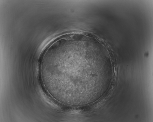 X0000116770247200912241209