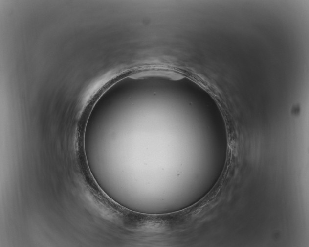 X0000116770248200912241209