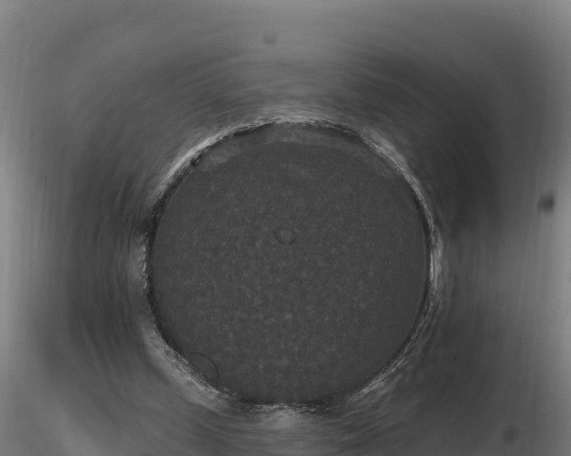 X0000116770249200912241209
