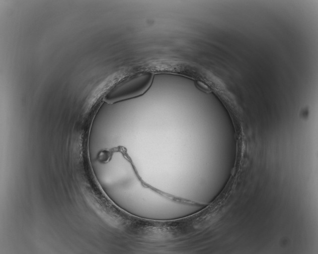 X0000116770250200912241209