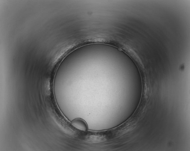X0000116770251200912241209