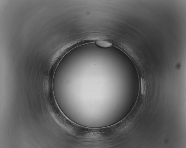 X0000116770252200912241209