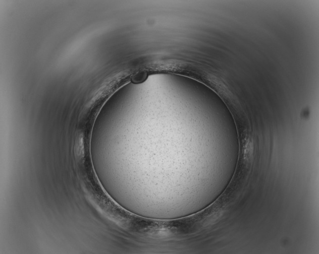 X0000116770254200912241209