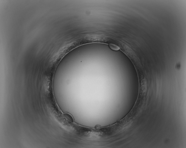 X0000116770255200912241209