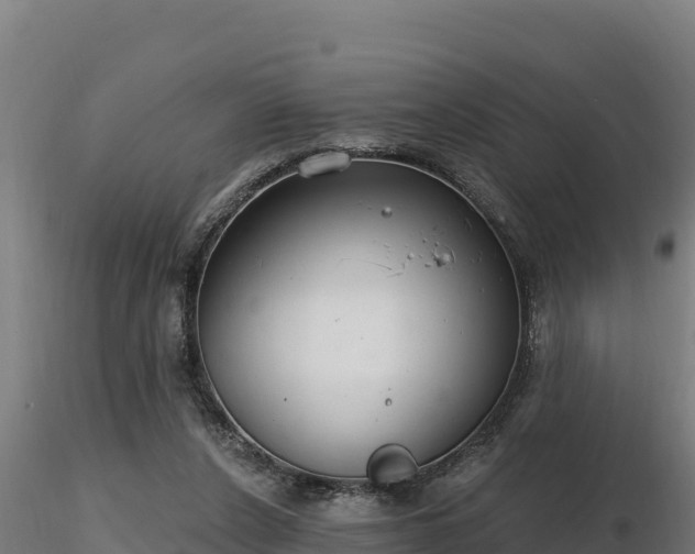 X0000116770256200912241209
