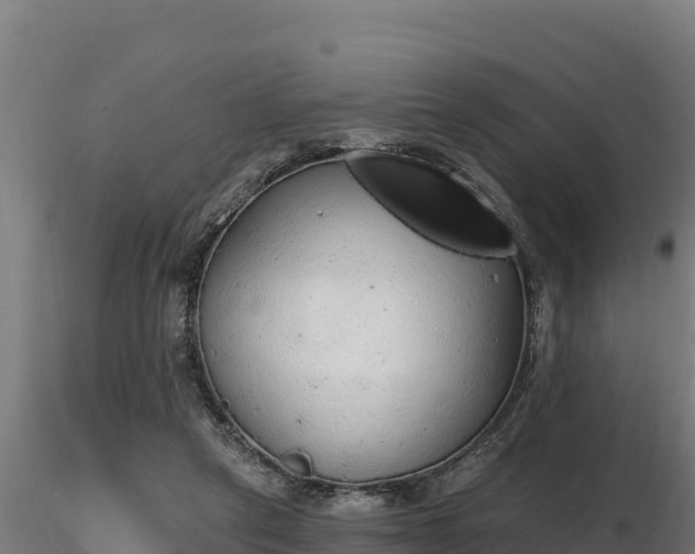 X0000116770257200912241209
