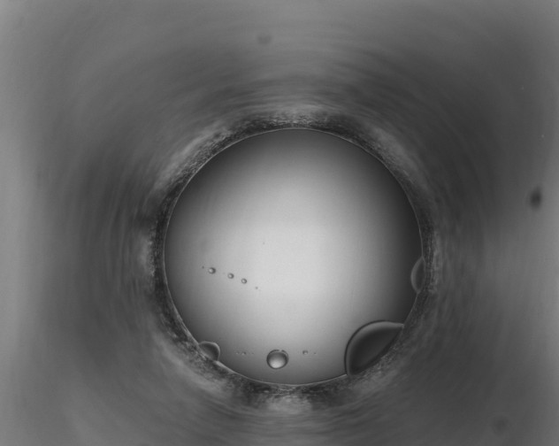 X0000116770258200912241209