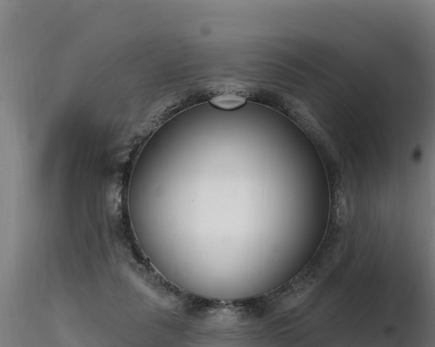 X0000116770259200912241209