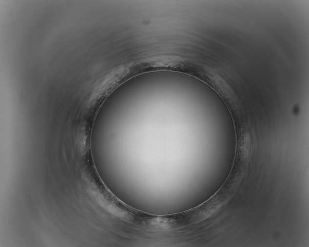 X0000116770261200912241209