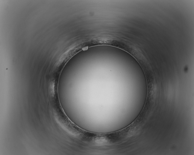 X0000116770262200912241209