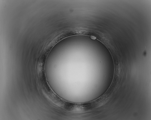 X0000116770263200912241209