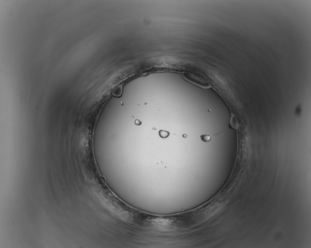 X0000116770265200912241209