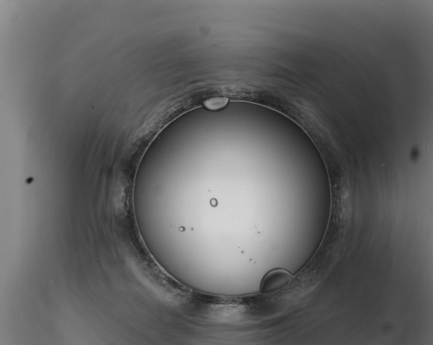 X0000116770266200912241209
