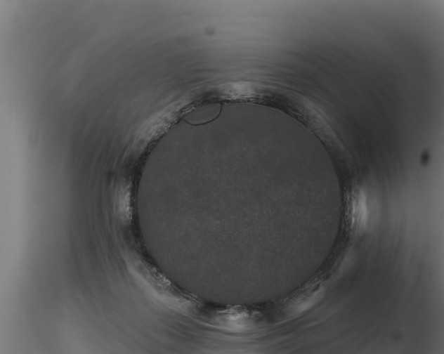 X0000116770267200912241209