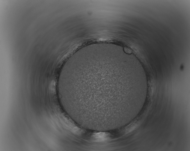X0000116770269200912241209