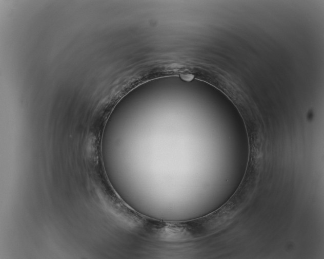 X0000116770270200912241209