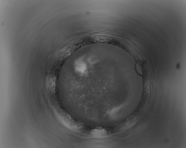 X0000116770271200912241210