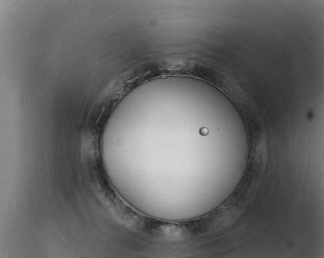 X0000116770272200912241210
