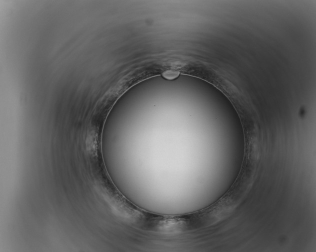 X0000116770274200912241210