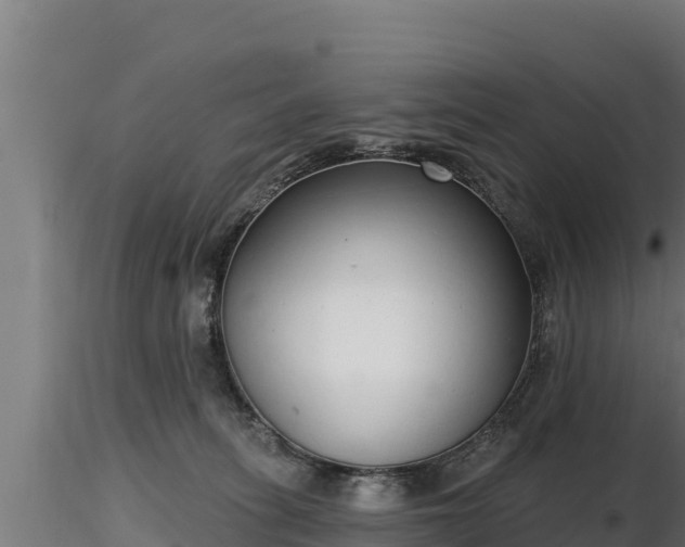 X0000116770275200912241210