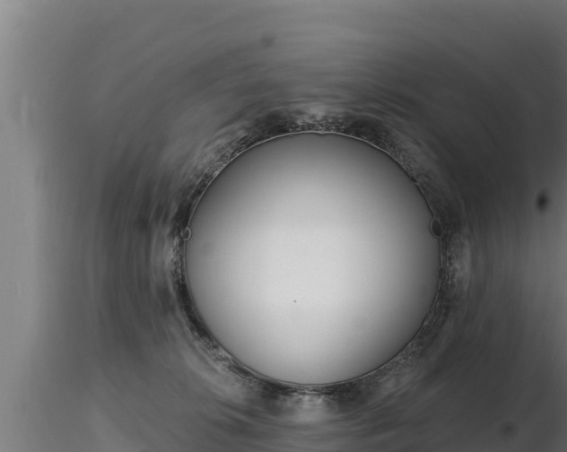 X0000116770276200912241210