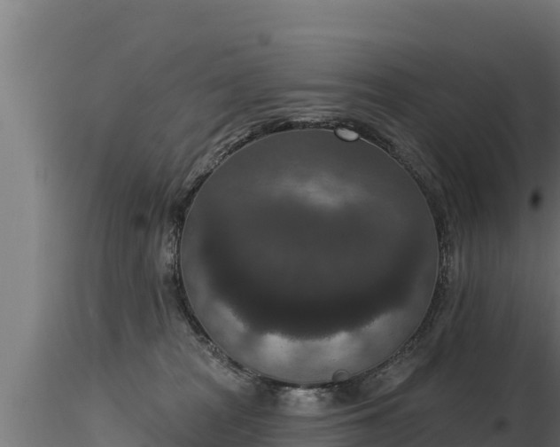 X0000116770277200912241210