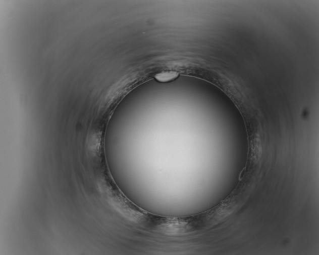 X0000116770278200912241210