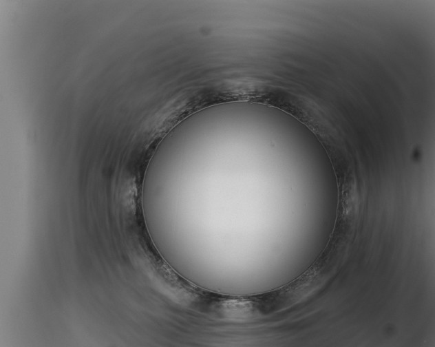 X0000116770279200912241210