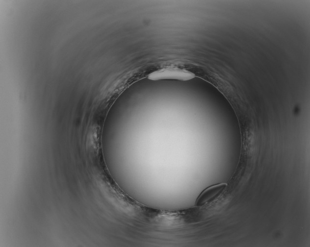 X0000116770280200912241210