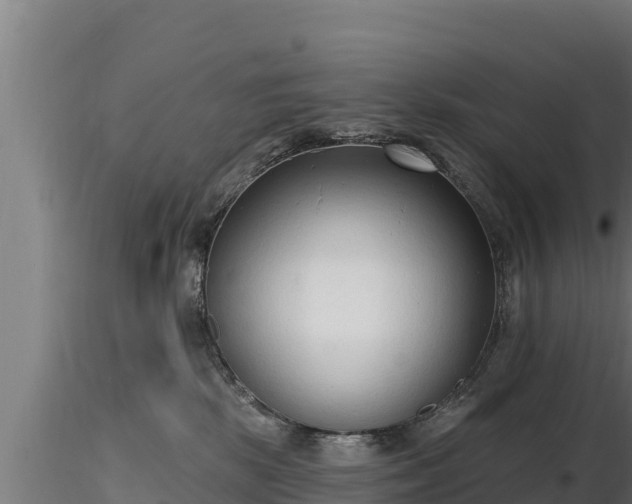 X0000116770281200912241210
