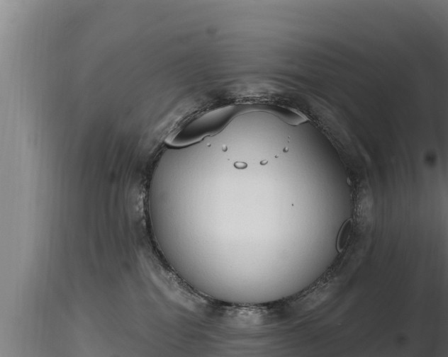 X0000116770282200912241210