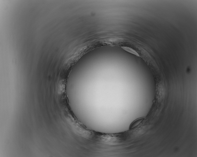 X0000116770284200912241210
