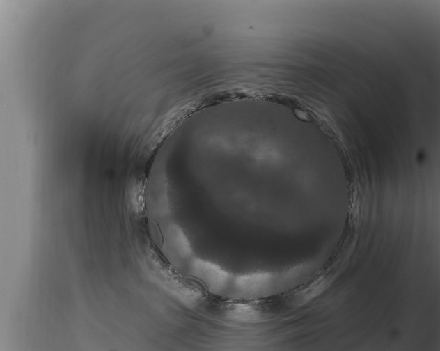 X0000116770285200912241210