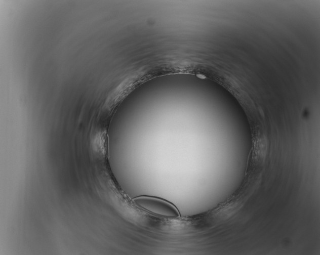 X0000116770286200912241210