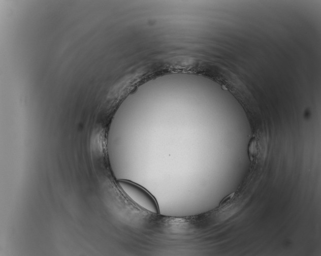 X0000116770287200912241210