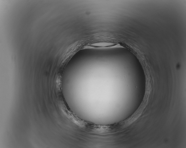 X0000116770288200912241210