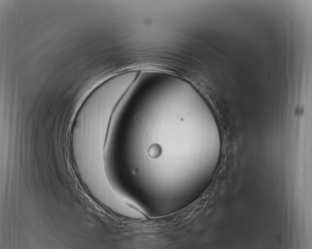 X0000116770289200912241209