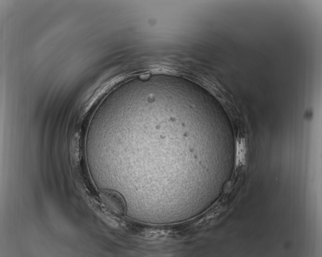 X0000116770291200912241209