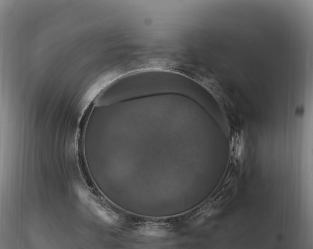 X0000116770292200912241209