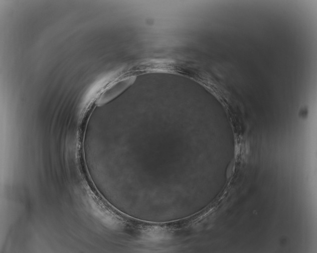 X0000116770293200912241209