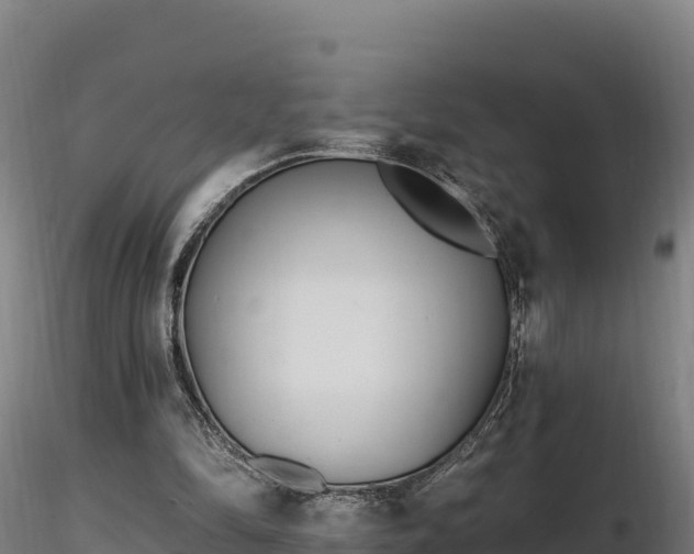 X0000116770294200912241209